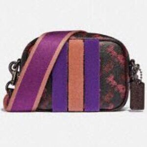Coach Outlet Camera Bag with Print and Stripe